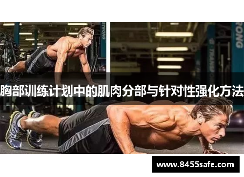 胸部训练计划中的肌肉分部与针对性强化方法